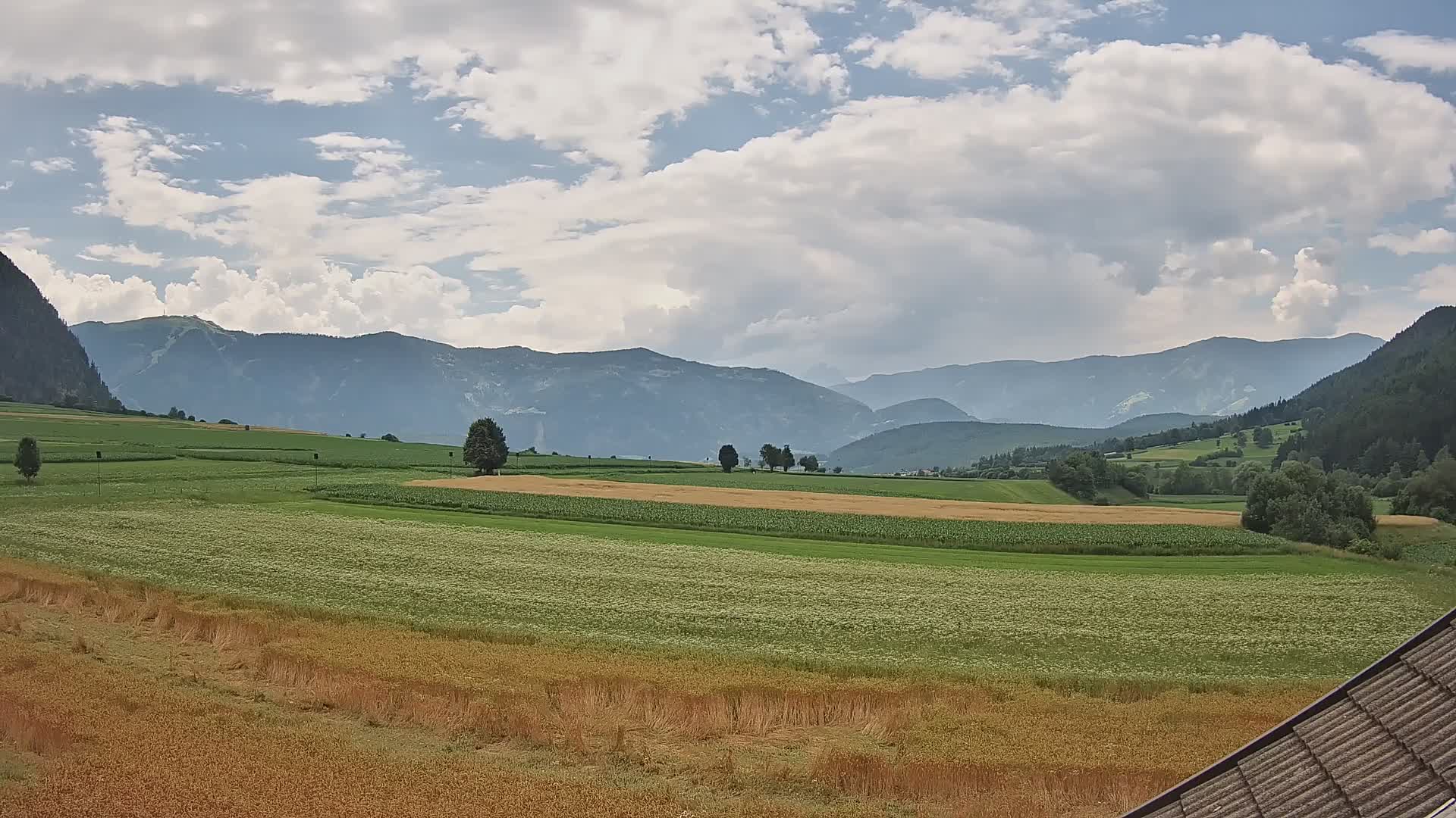 Gais | View from Vintage Farm Winklerhof to Kronplatz and Dolomites