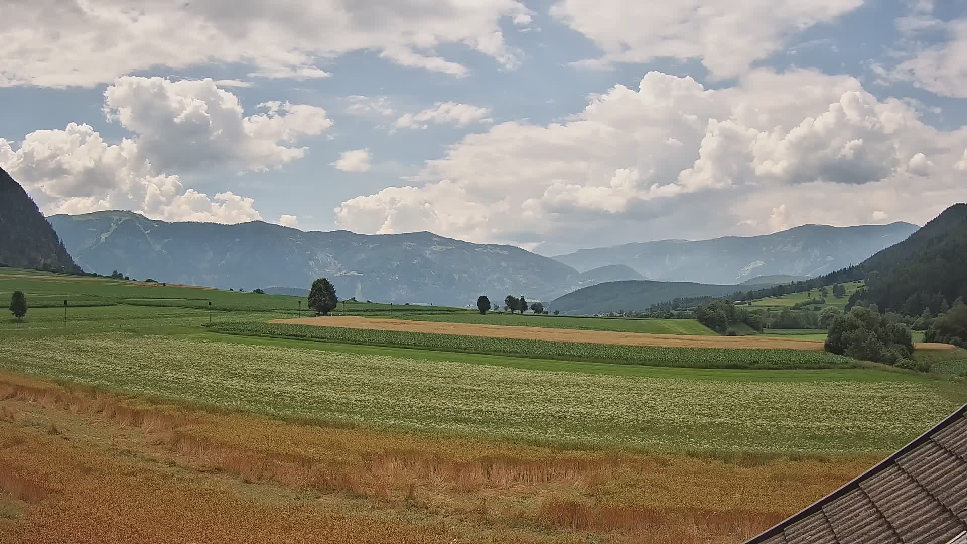 Gais | View from Vintage Farm Winklerhof to Kronplatz and Dolomites