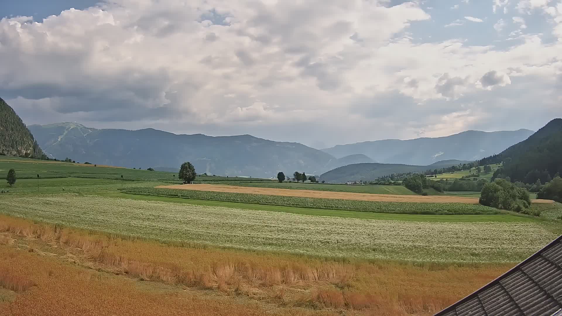 Gais | View from Vintage Farm Winklerhof to Kronplatz and Dolomites
