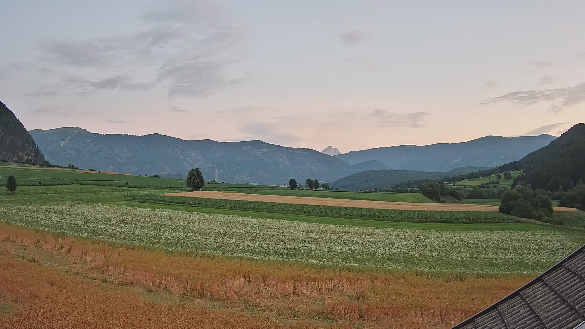 Gais | View from Vintage Farm Winklerhof to Kronplatz and Dolomites
