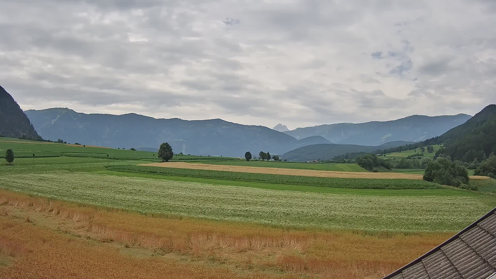 Gais | View from Vintage Farm Winklerhof to Kronplatz and Dolomites
