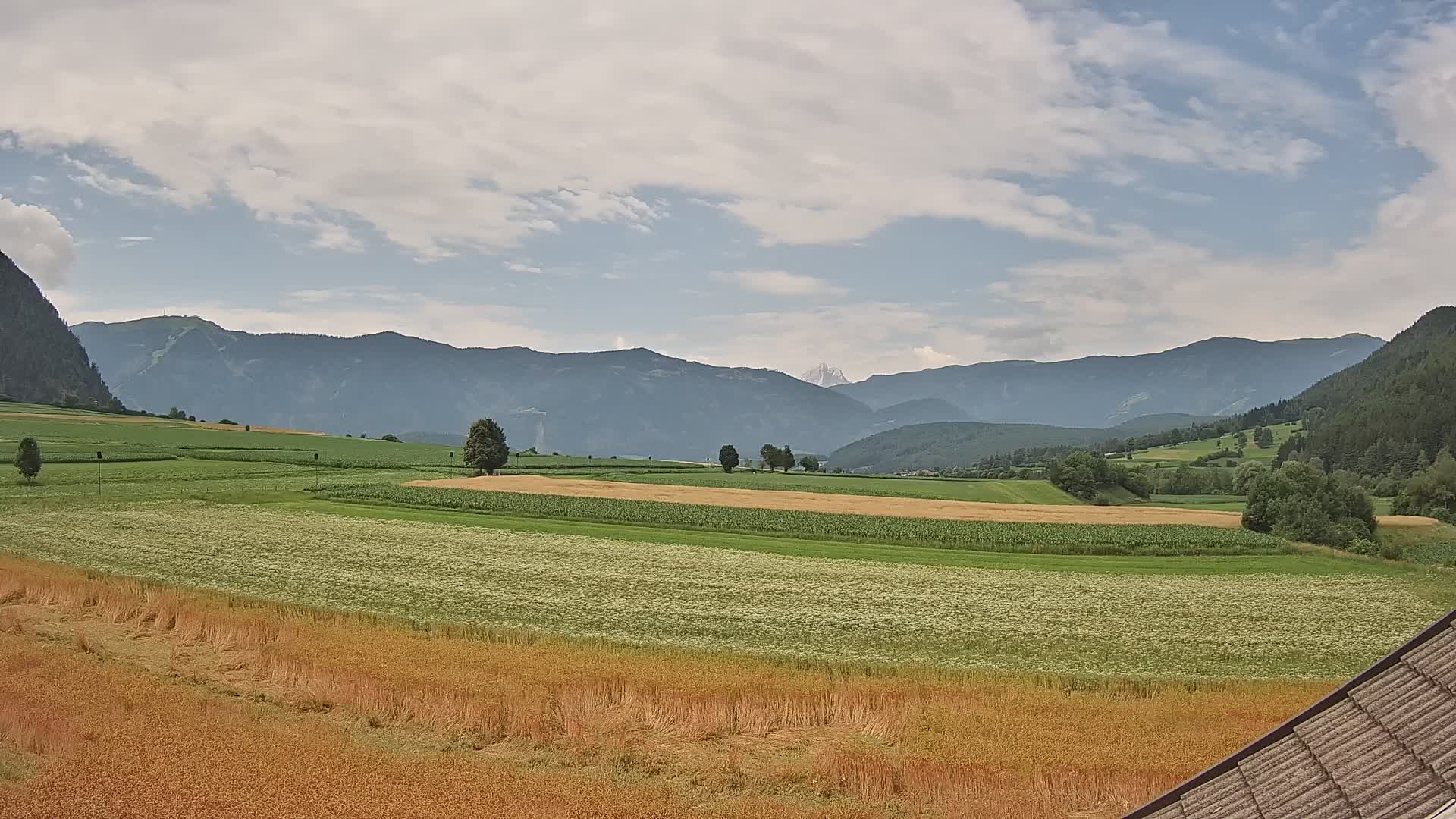 Gais | View from Vintage Farm Winklerhof to Kronplatz and Dolomites