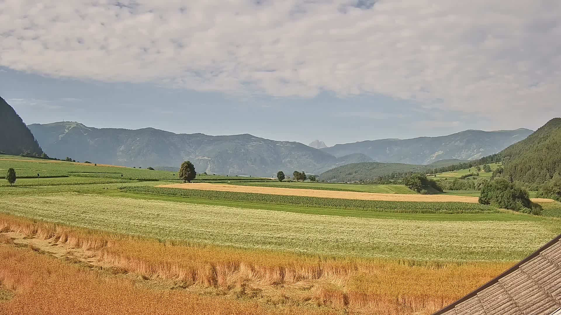 Gais | View from Vintage Farm Winklerhof to Kronplatz and Dolomites