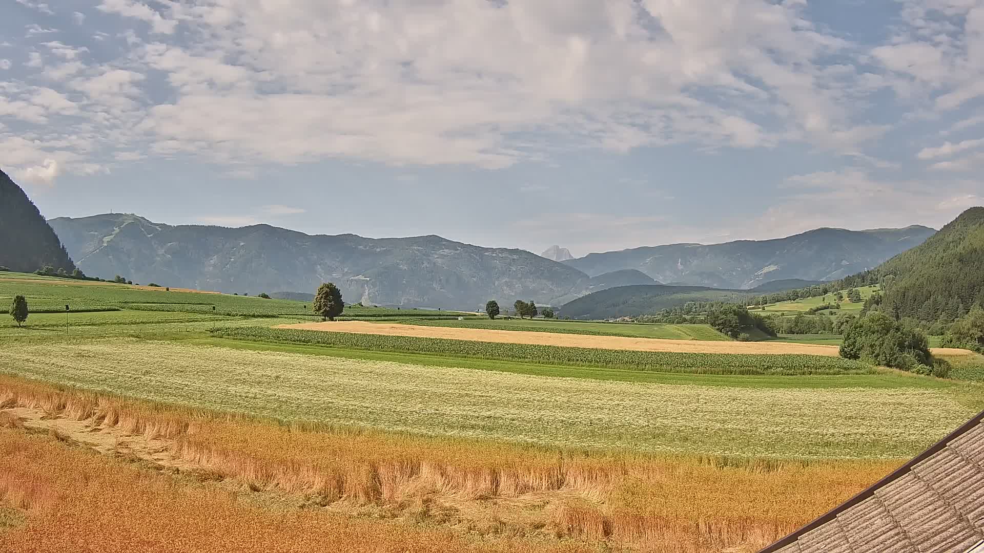 Gais | View from Vintage Farm Winklerhof to Kronplatz and Dolomites
