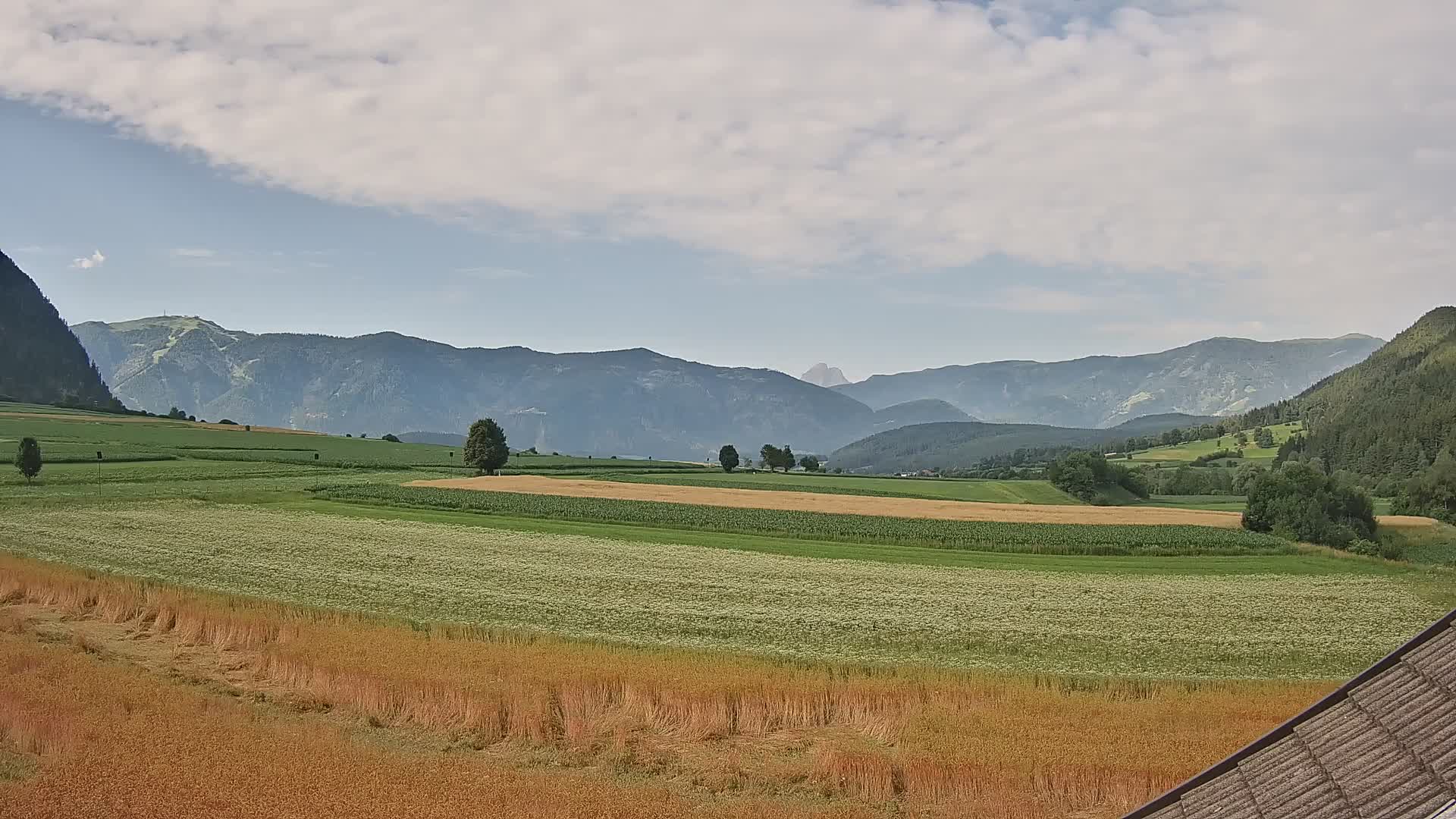 Gais | View from Vintage Farm Winklerhof to Kronplatz and Dolomites