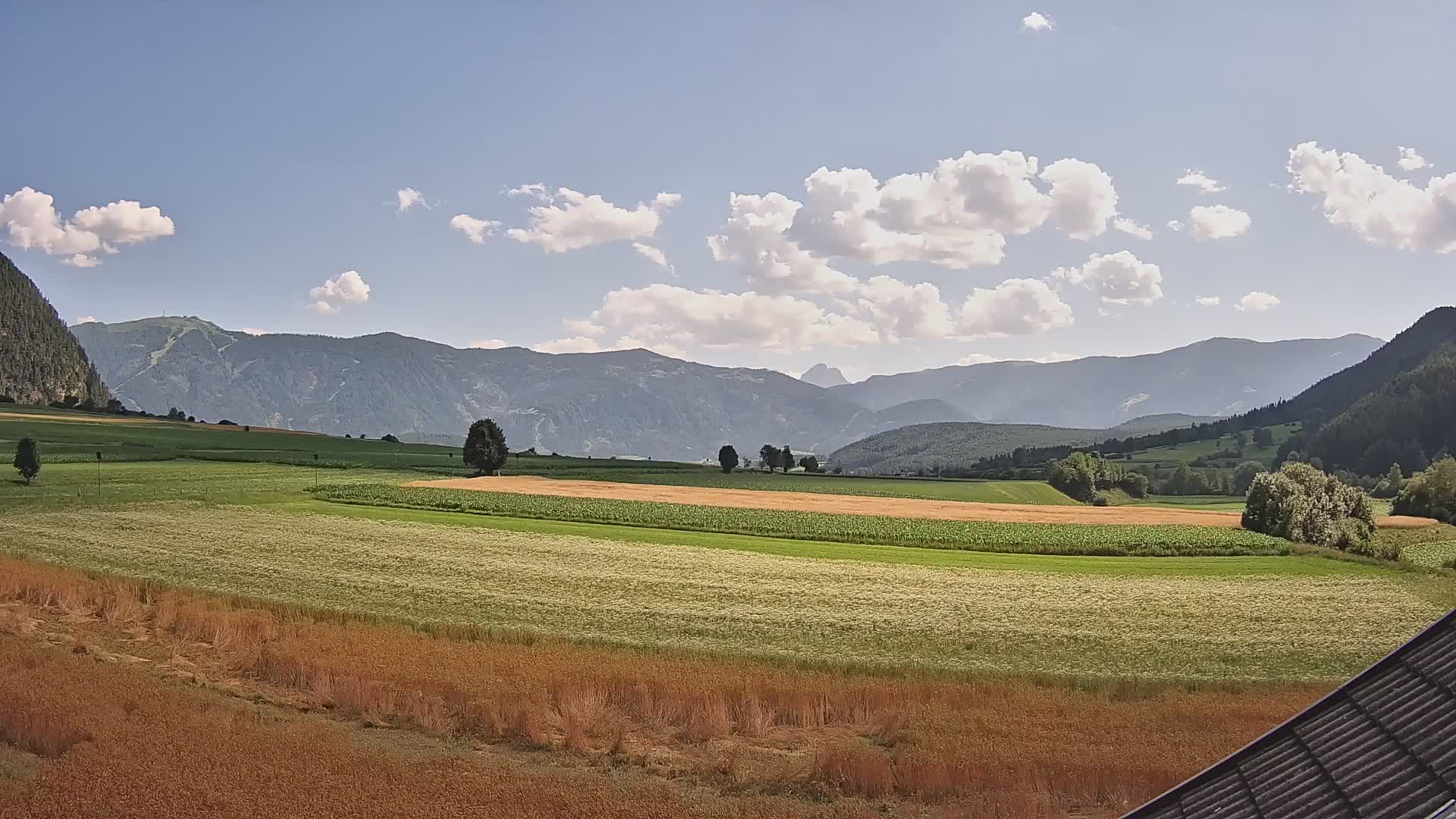Gais | View from Vintage Farm Winklerhof to Kronplatz and Dolomites