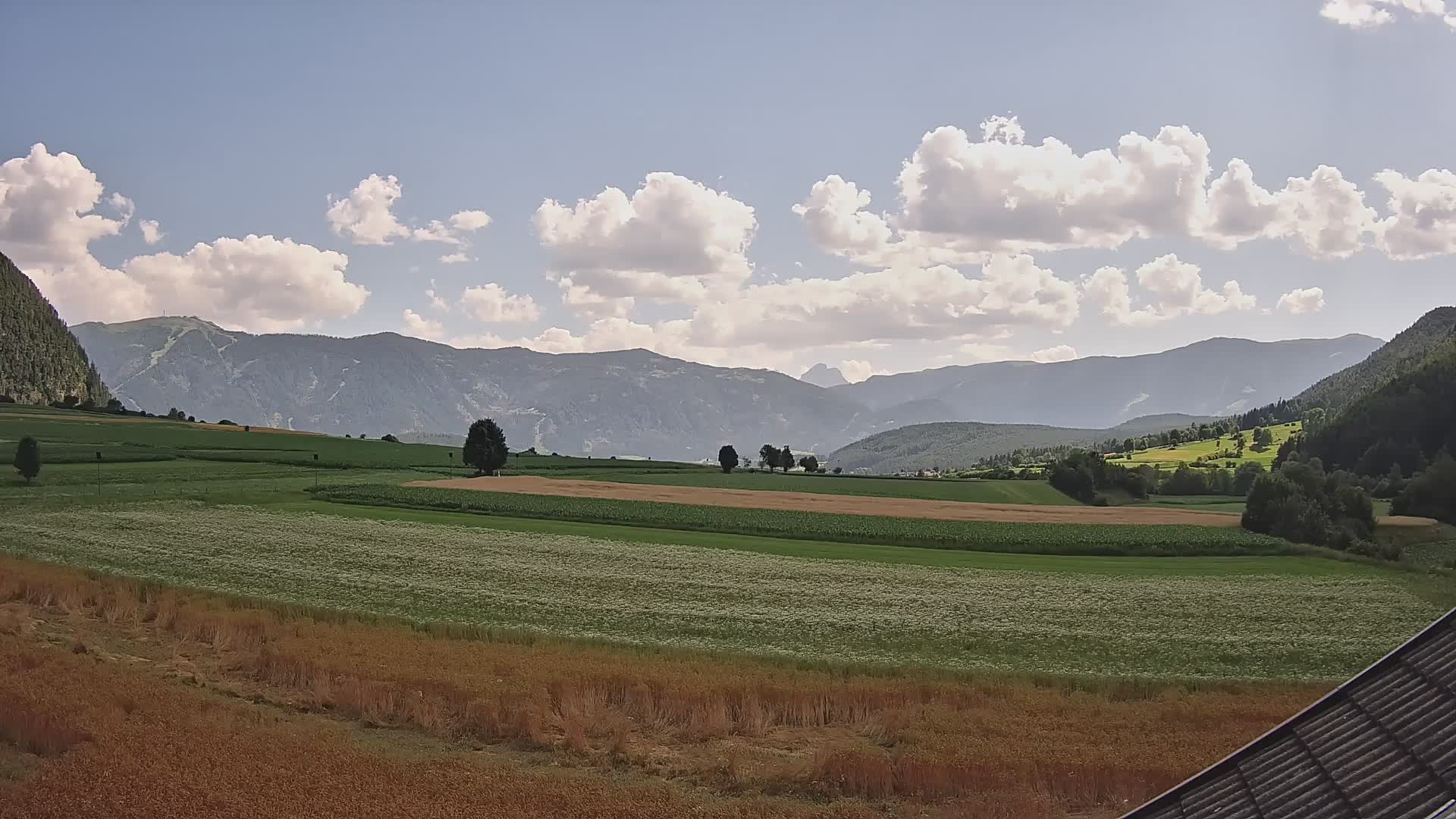 Gais | View from Vintage Farm Winklerhof to Kronplatz and Dolomites