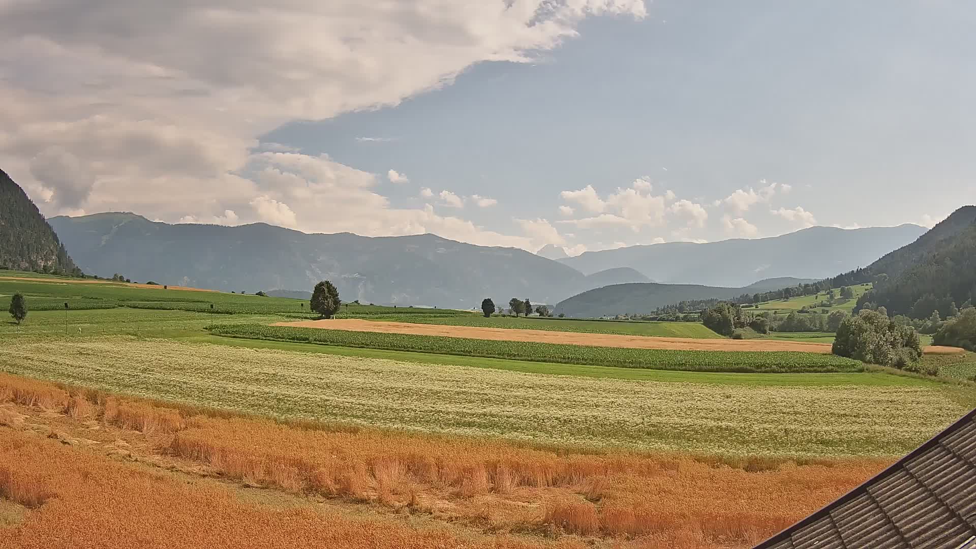 Gais | View from Vintage Farm Winklerhof to Kronplatz and Dolomites