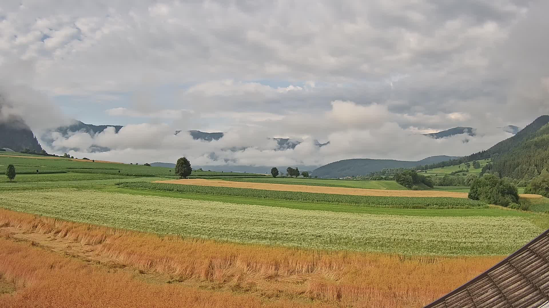 Gais | View from Vintage Farm Winklerhof to Kronplatz and Dolomites