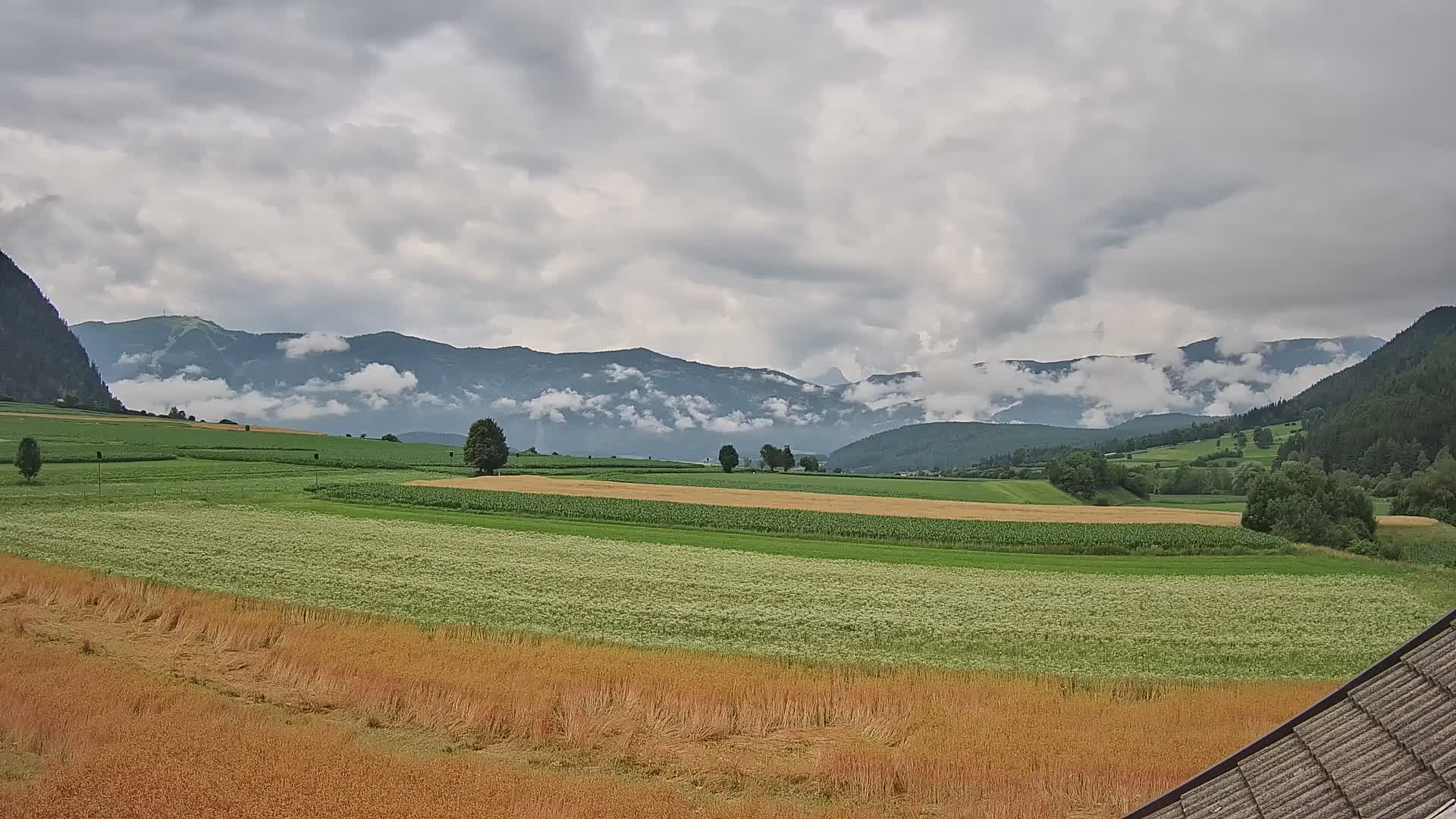 Gais | View from Vintage Farm Winklerhof to Kronplatz and Dolomites