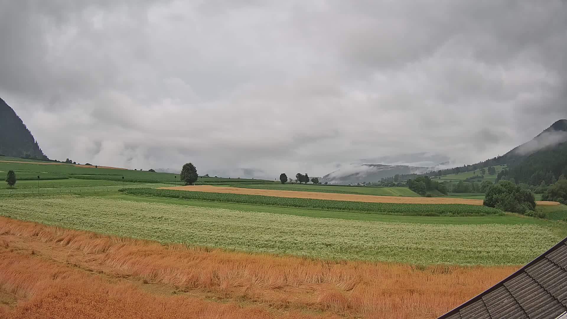 Gais | View from Vintage Farm Winklerhof to Kronplatz and Dolomites