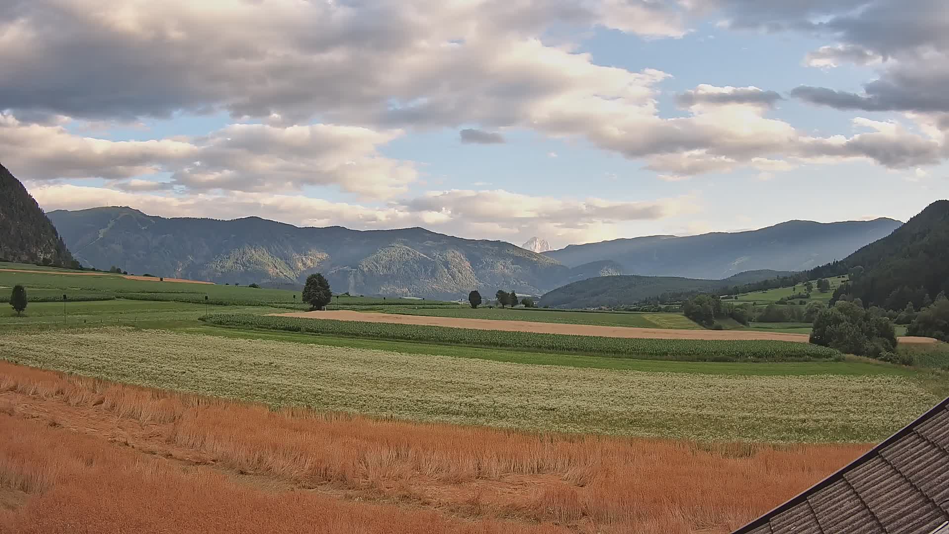 Gais | View from Vintage Farm Winklerhof to Kronplatz and Dolomites