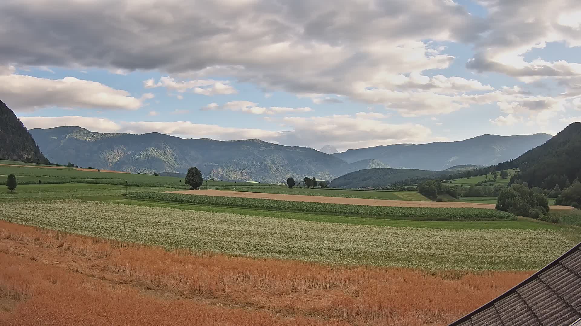 Gais | View from Vintage Farm Winklerhof to Kronplatz and Dolomites