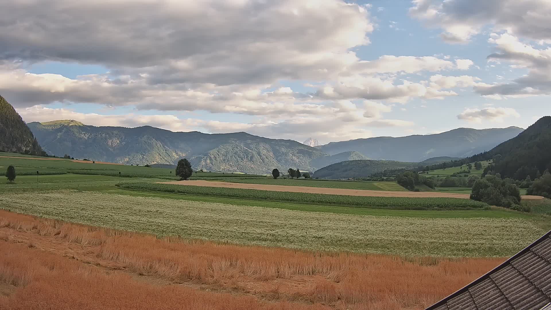 Gais | View from Vintage Farm Winklerhof to Kronplatz and Dolomites