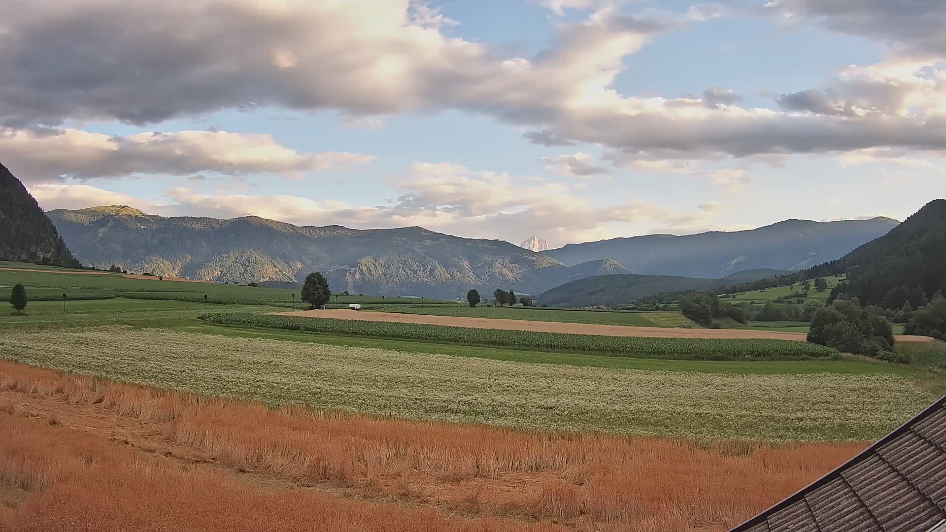Gais | View from Vintage Farm Winklerhof to Kronplatz and Dolomites