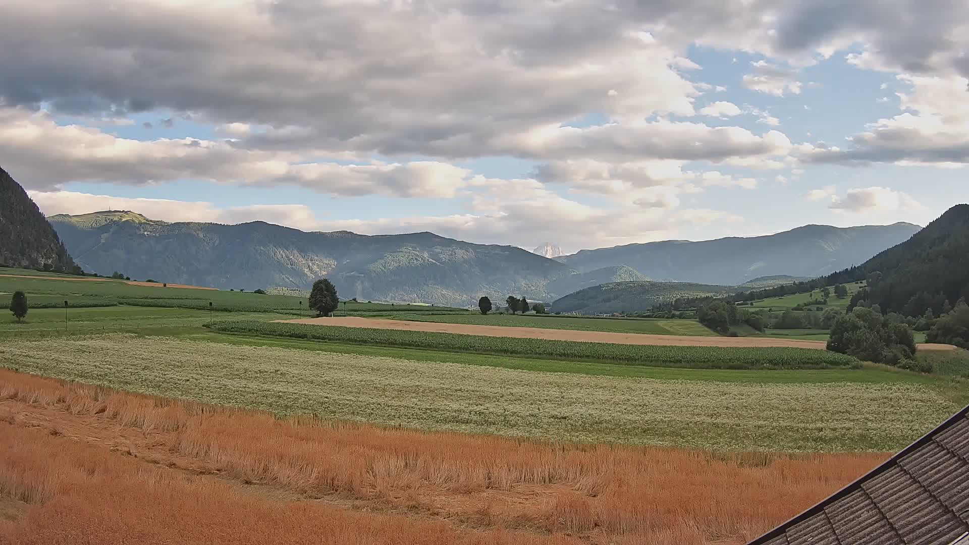 Gais | View from Vintage Farm Winklerhof to Kronplatz and Dolomites