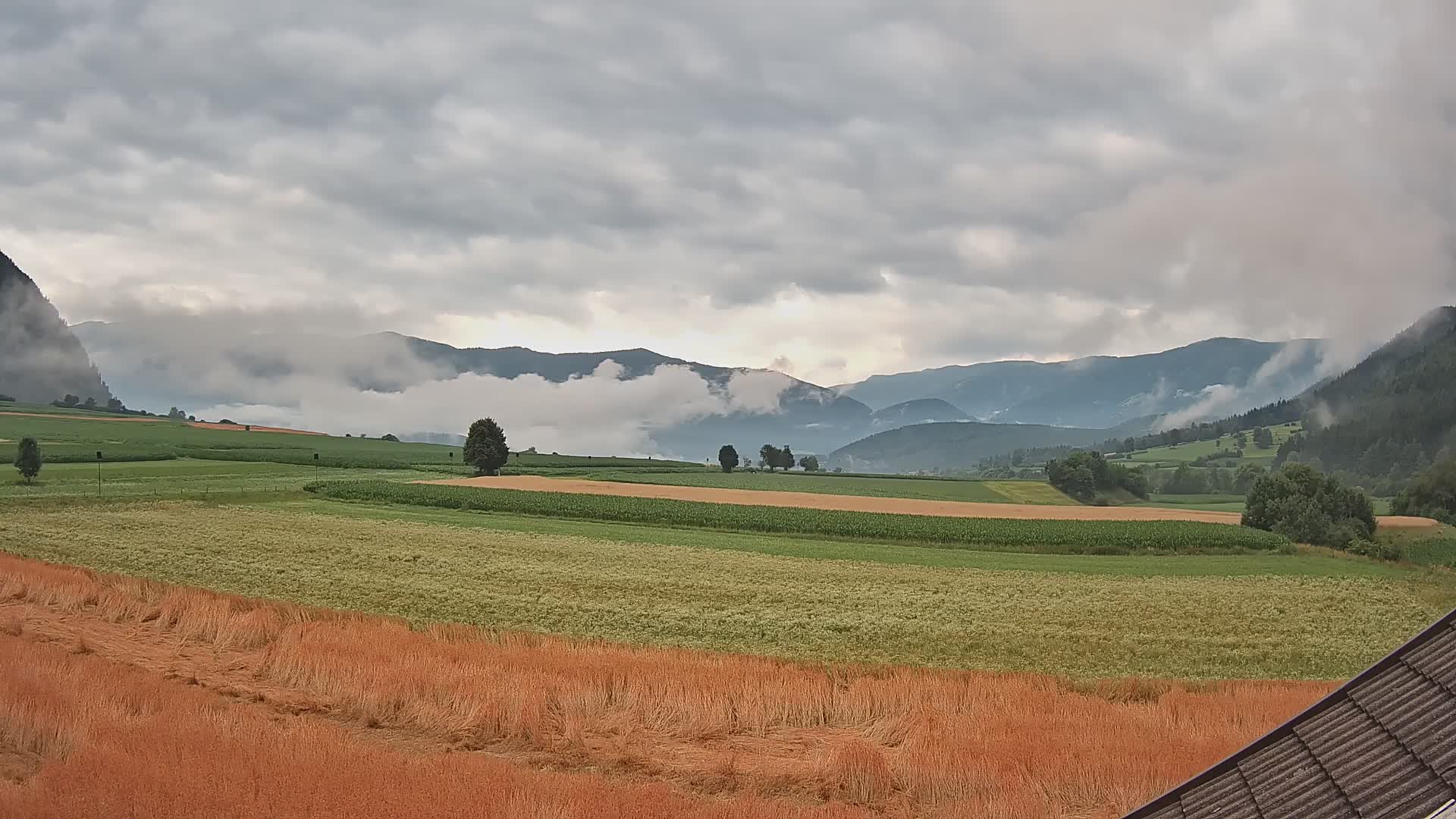 Gais | View from Vintage Farm Winklerhof to Kronplatz and Dolomites