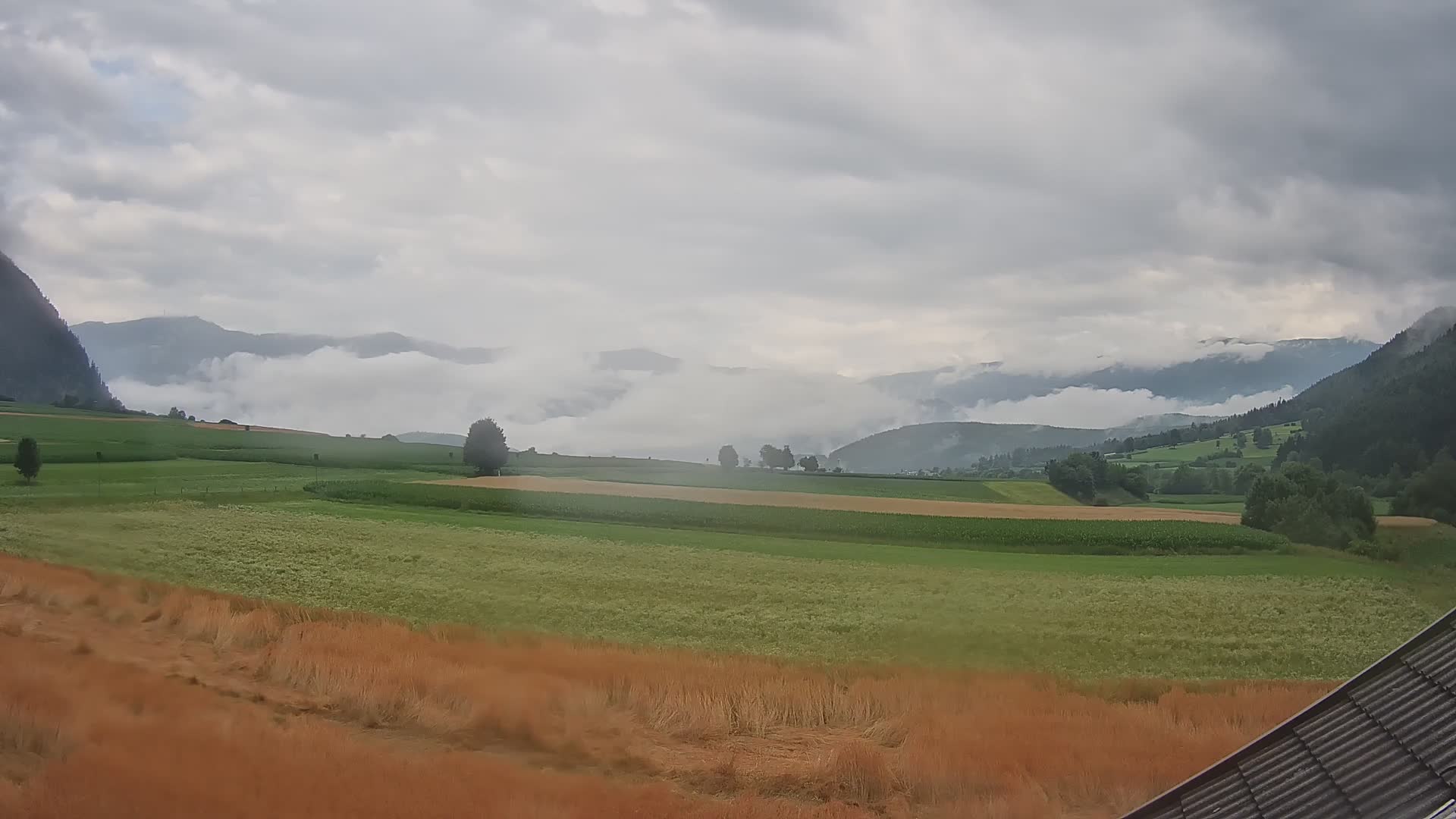 Gais | View from Vintage Farm Winklerhof to Kronplatz and Dolomites