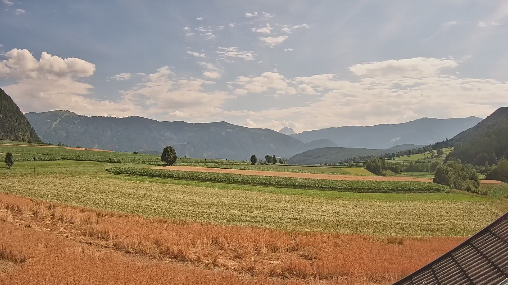 Gais | View from Vintage Farm Winklerhof to Kronplatz and Dolomites