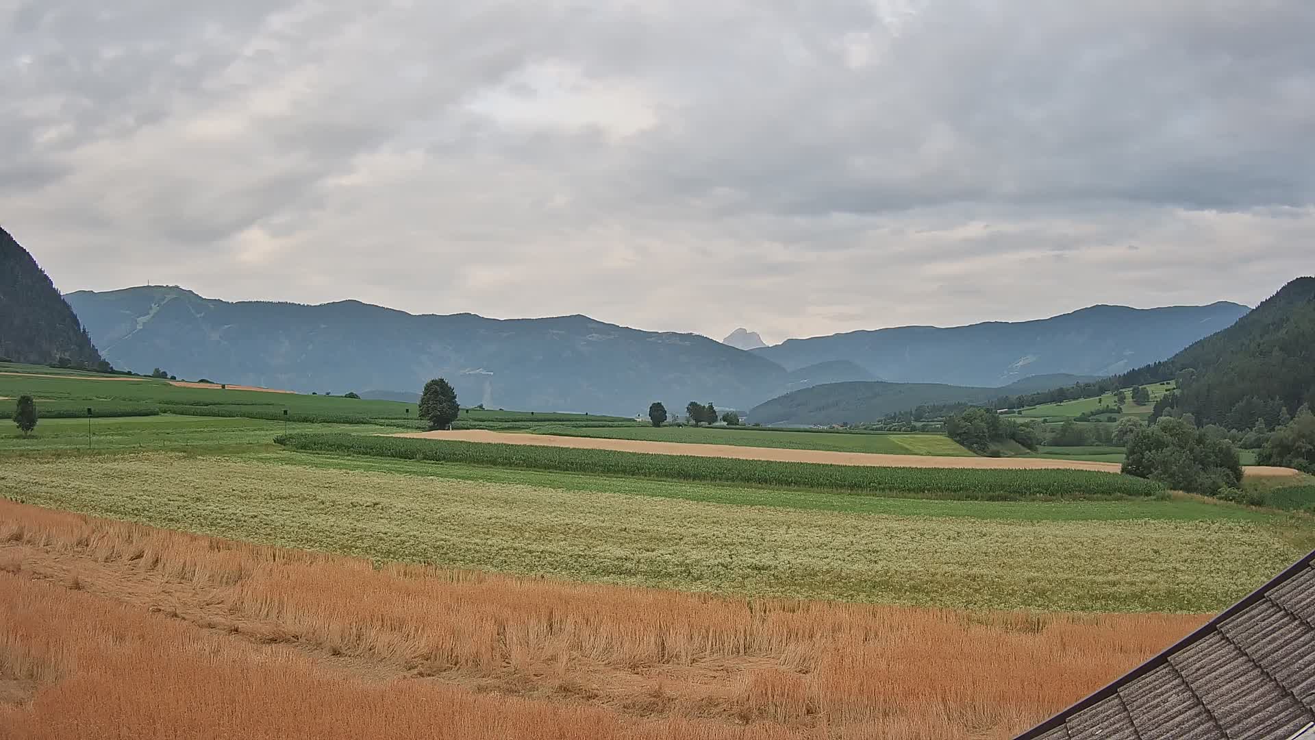 Gais | View from Vintage Farm Winklerhof to Kronplatz and Dolomites