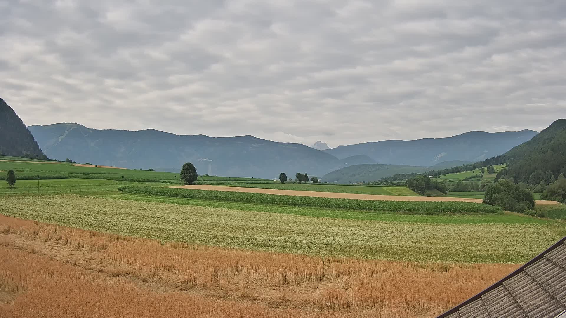 Gais | View from Vintage Farm Winklerhof to Kronplatz and Dolomites