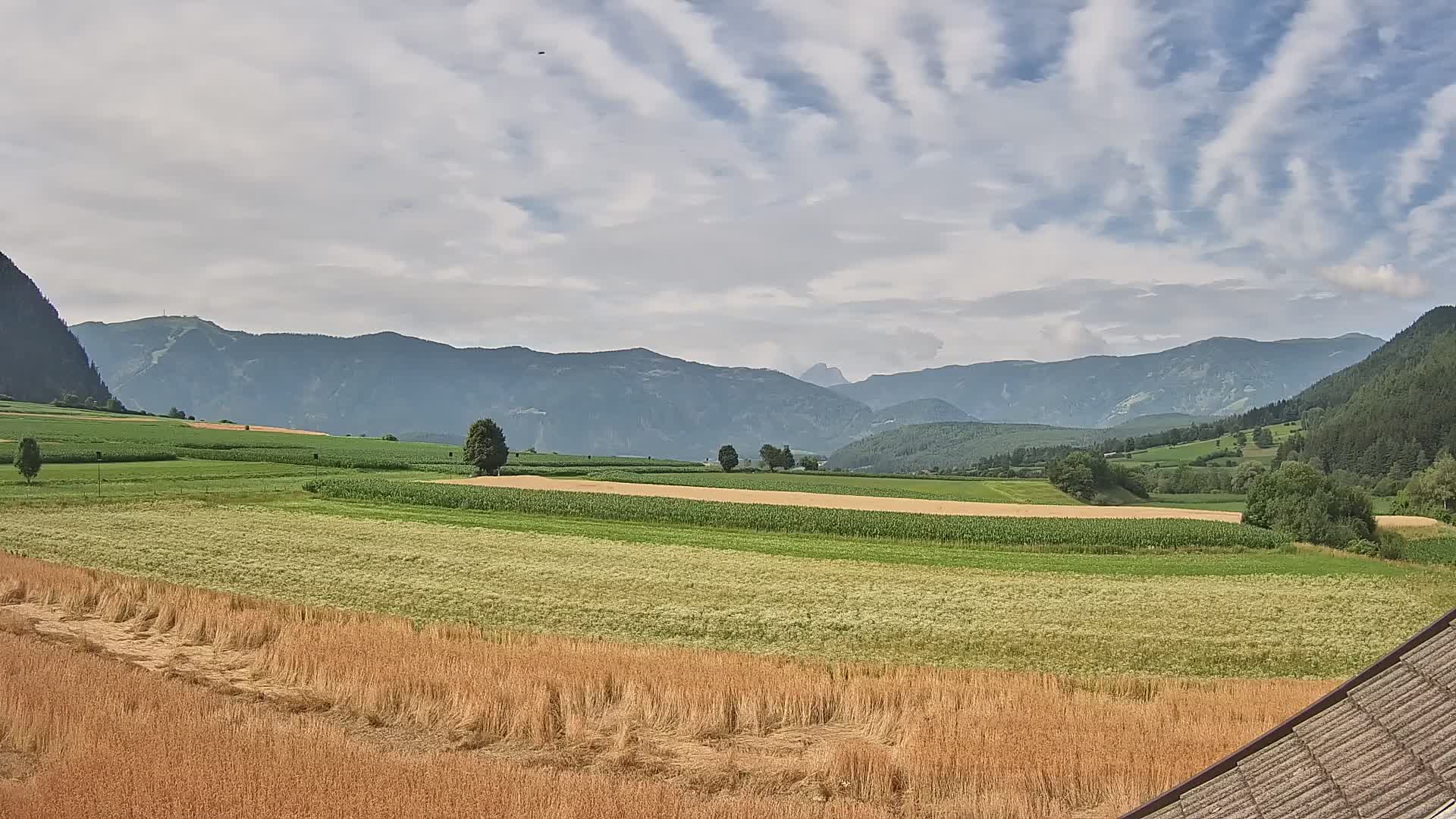 Gais | View from Vintage Farm Winklerhof to Kronplatz and Dolomites