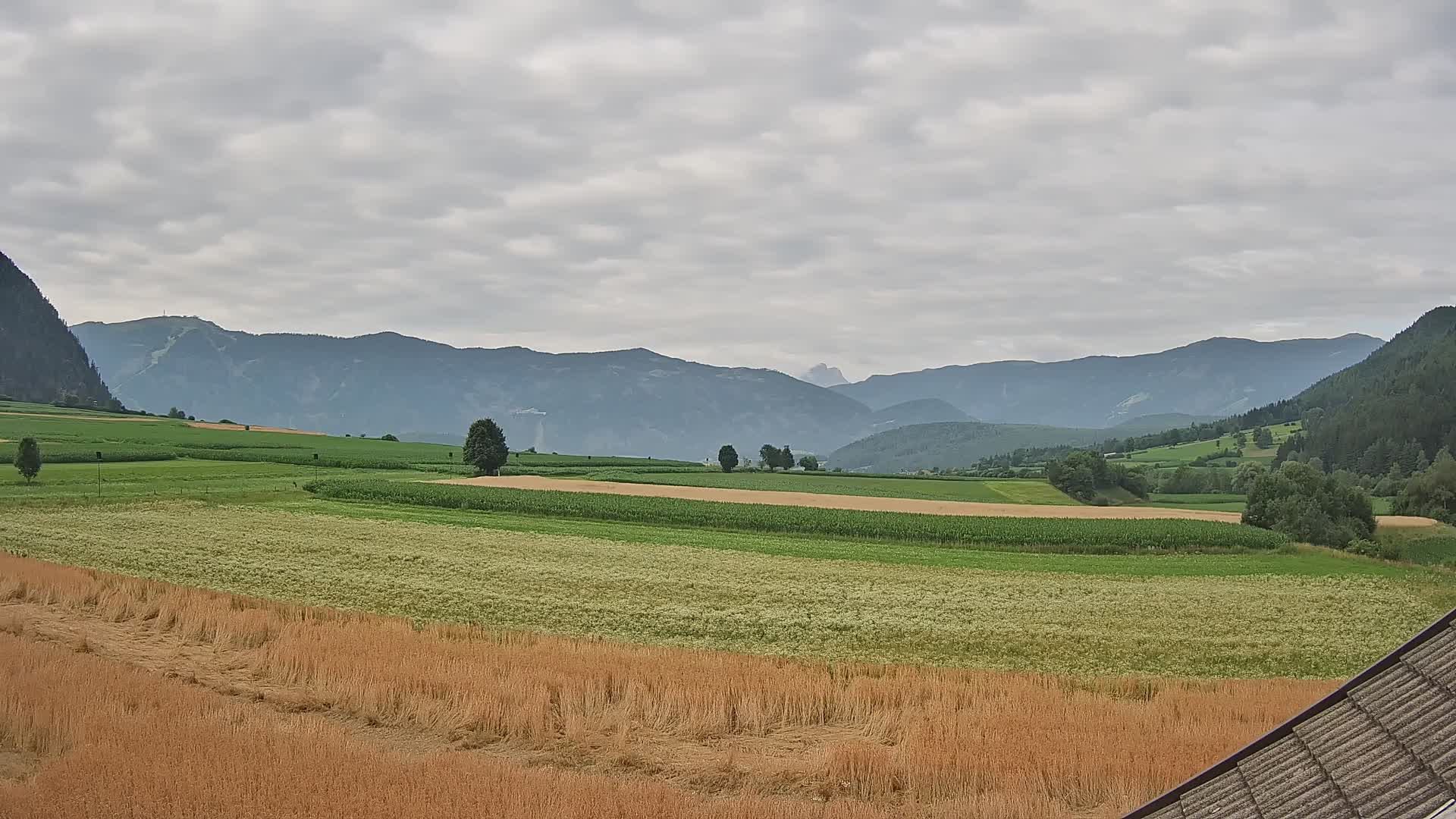 Gais | View from Vintage Farm Winklerhof to Kronplatz and Dolomites