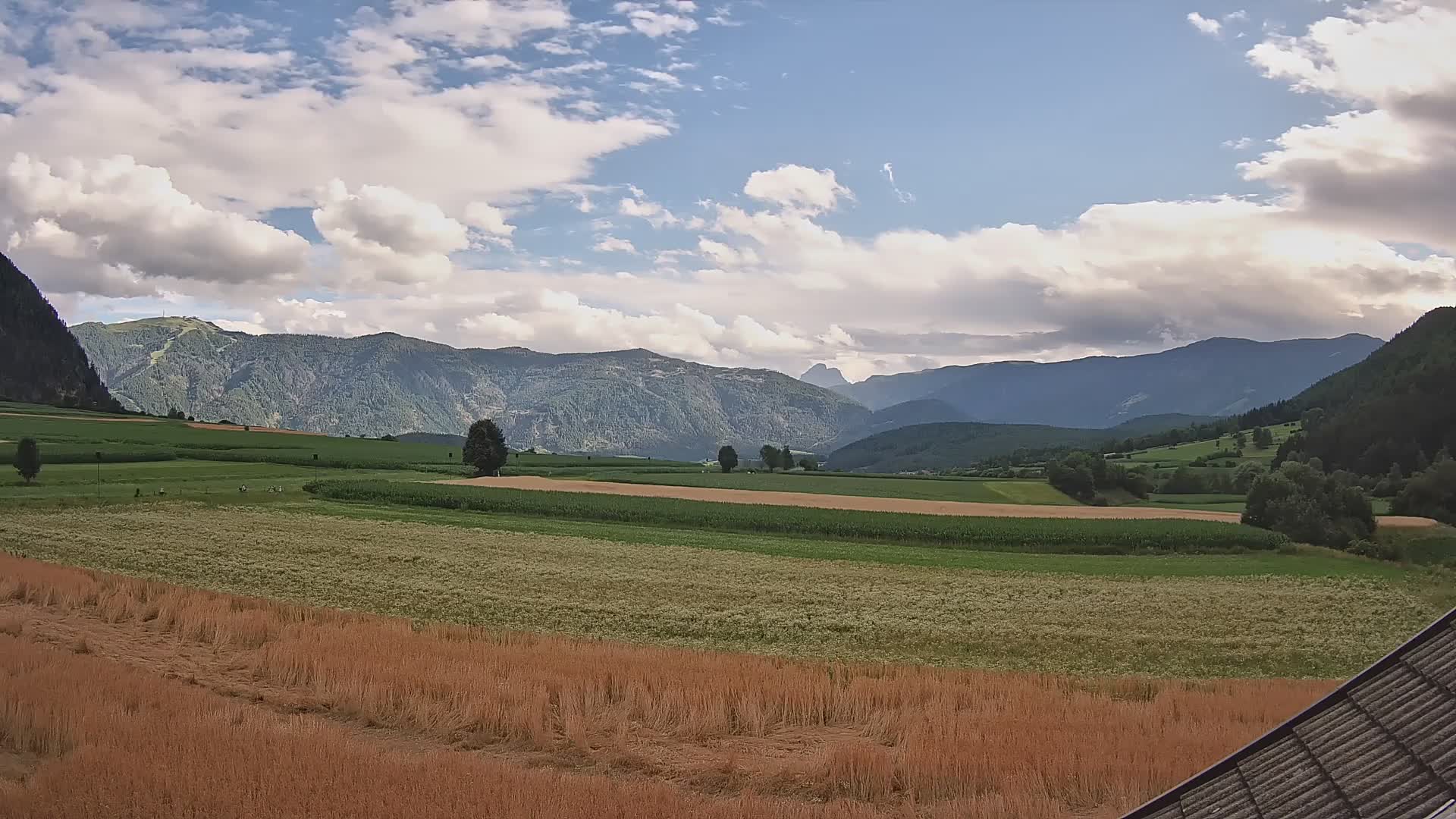 Gais | View from Vintage Farm Winklerhof to Kronplatz and Dolomites