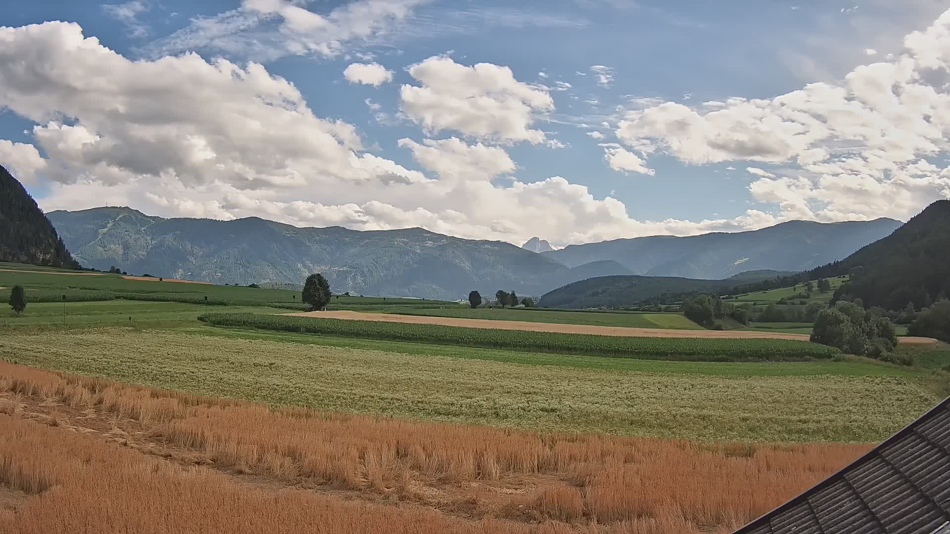 Gais | View from Vintage Farm Winklerhof to Kronplatz and Dolomites
