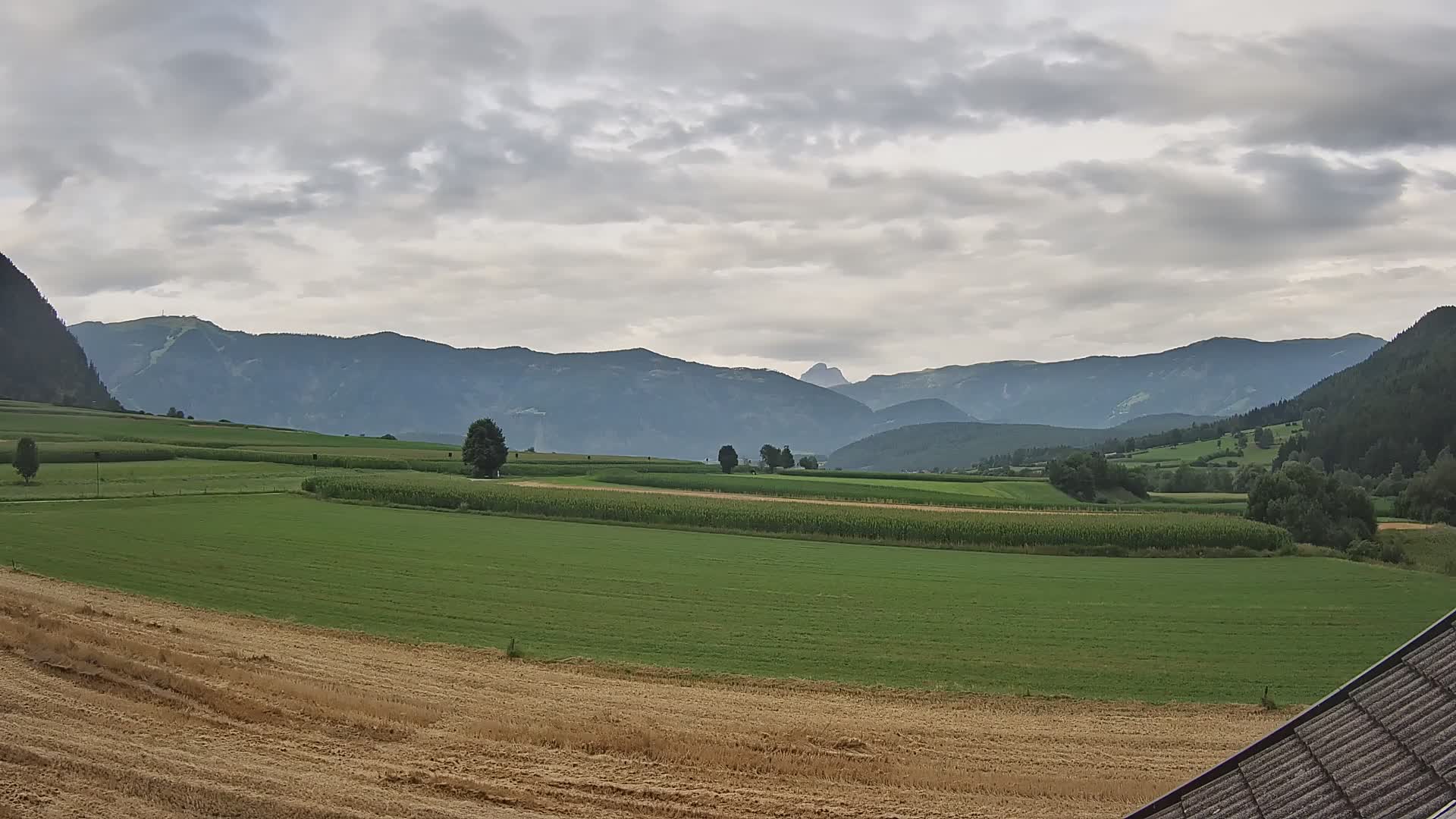 Gais | View from Vintage Farm Winklerhof to Kronplatz and Dolomites