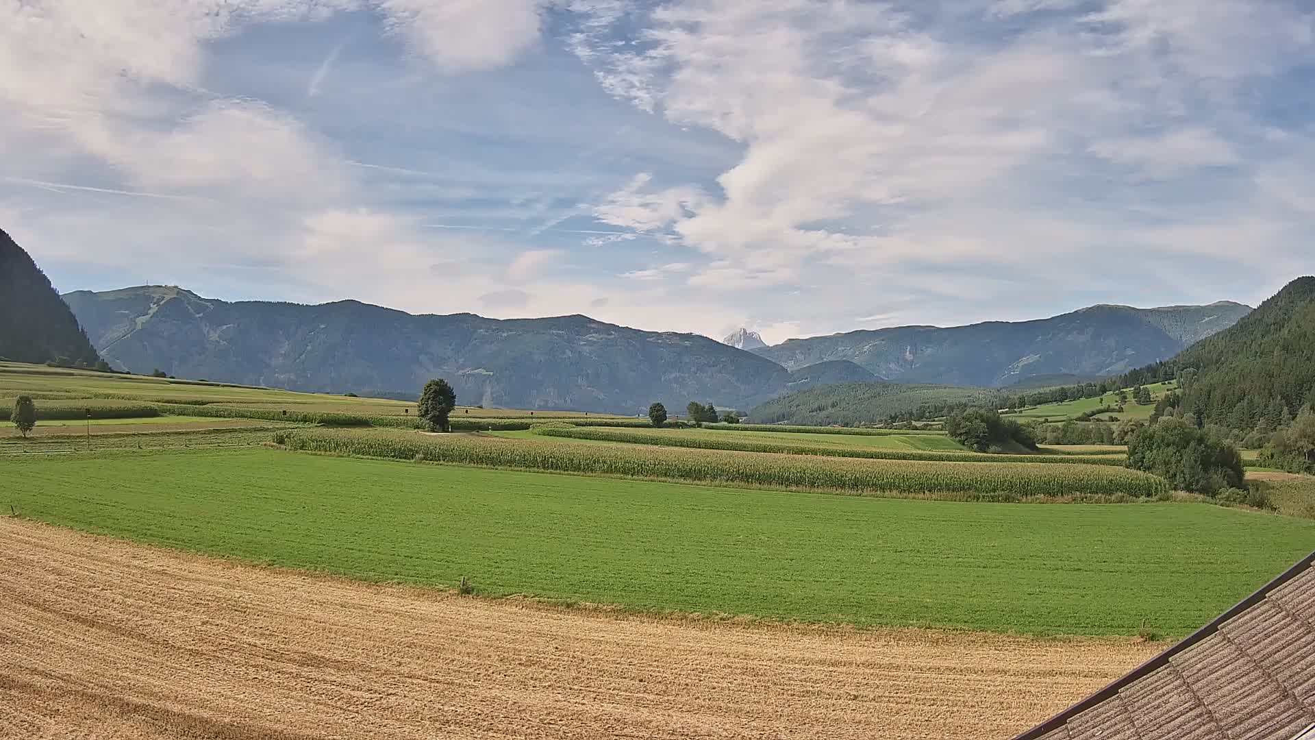 Gais | View from Vintage Farm Winklerhof to Kronplatz and Dolomites