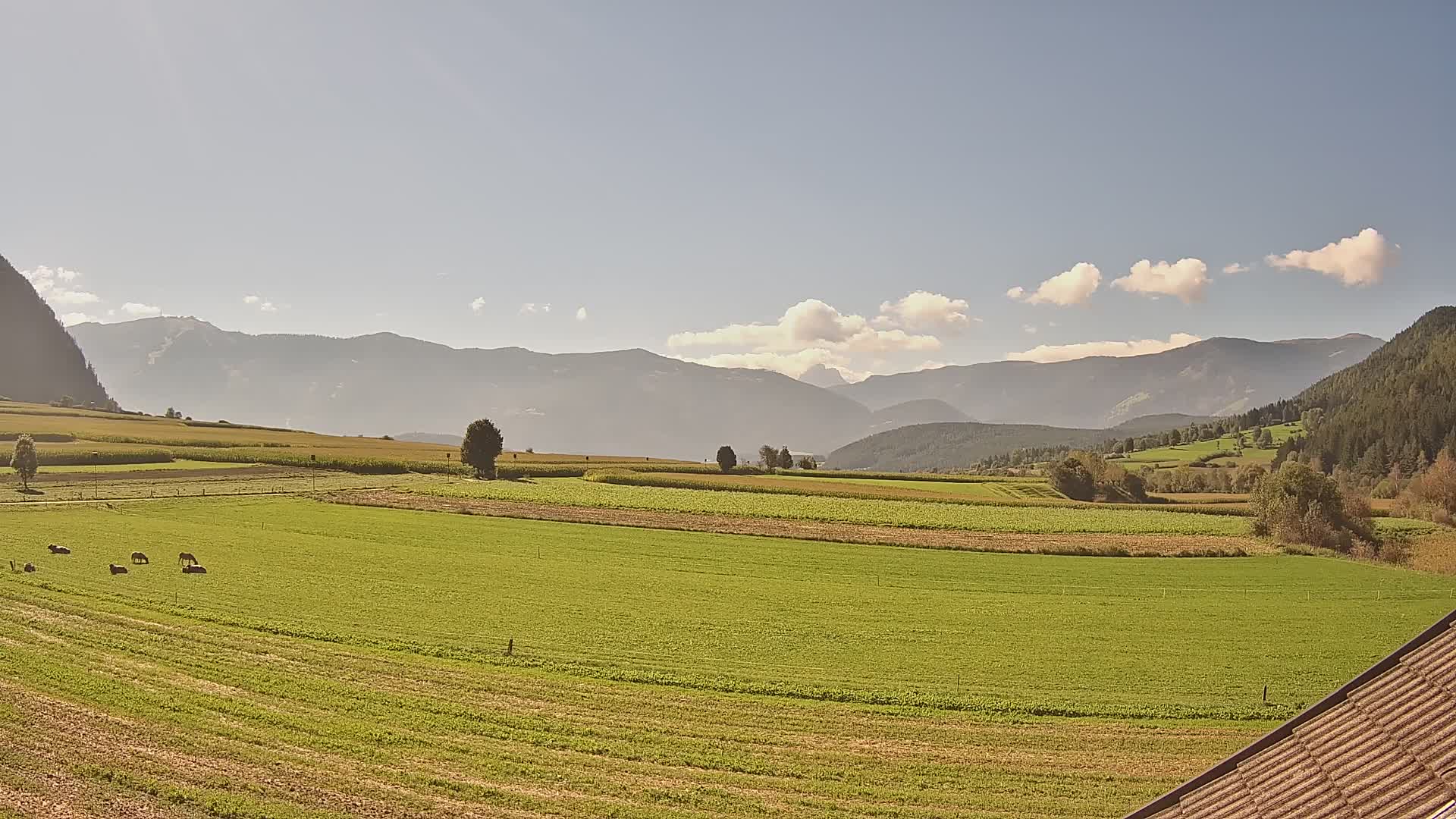 Gais | Blick vom Vintage Farm Winklerhof auf Kronplatz und Dolomiten