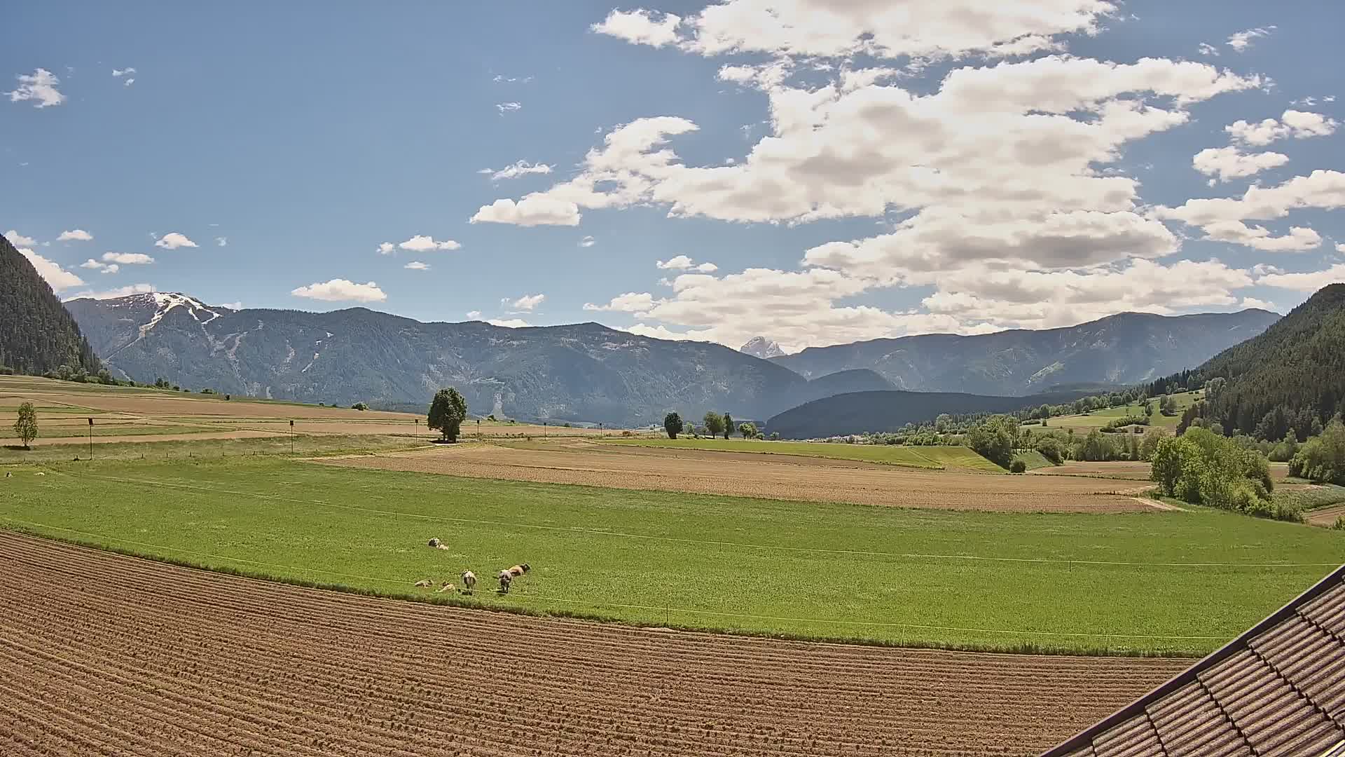 Gais | Blick vom Vintage Farm Winklerhof auf Kronplatz und Dolomiten
