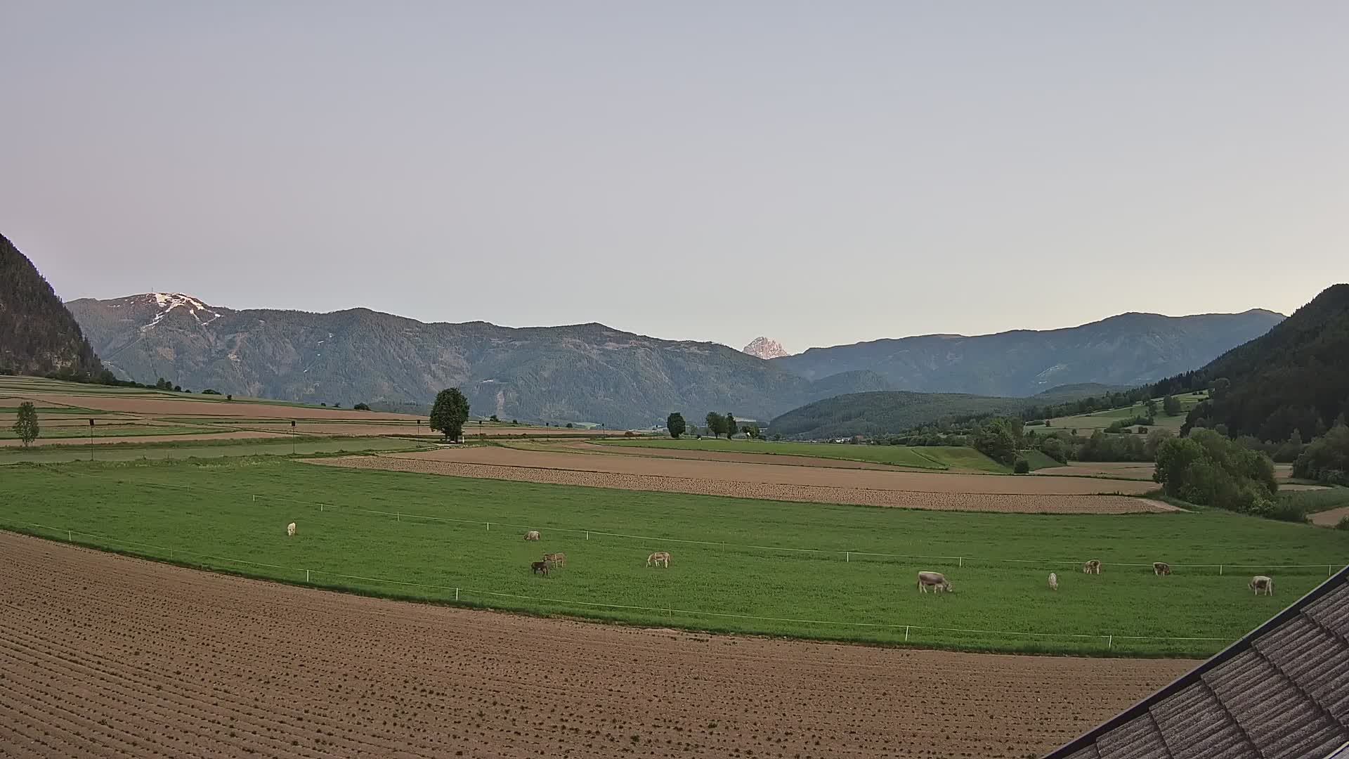 Gais | Blick vom Vintage Farm Winklerhof auf Kronplatz und Dolomiten