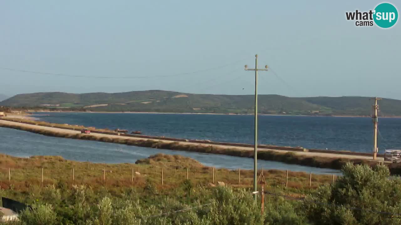 Webcam Porto Botte spiaggia | Sardegna