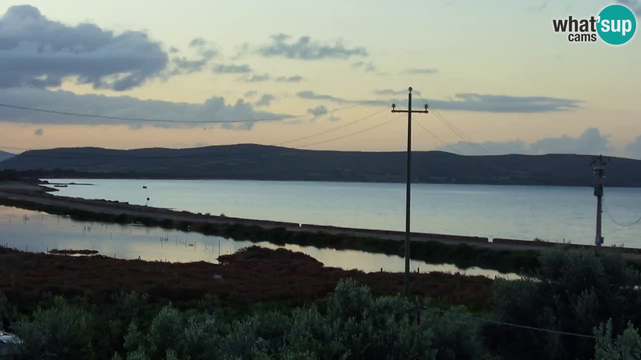 Webcam Spalato - Spiaggia Kašjuni - Spiagge Spalato - live cam Dalmazia