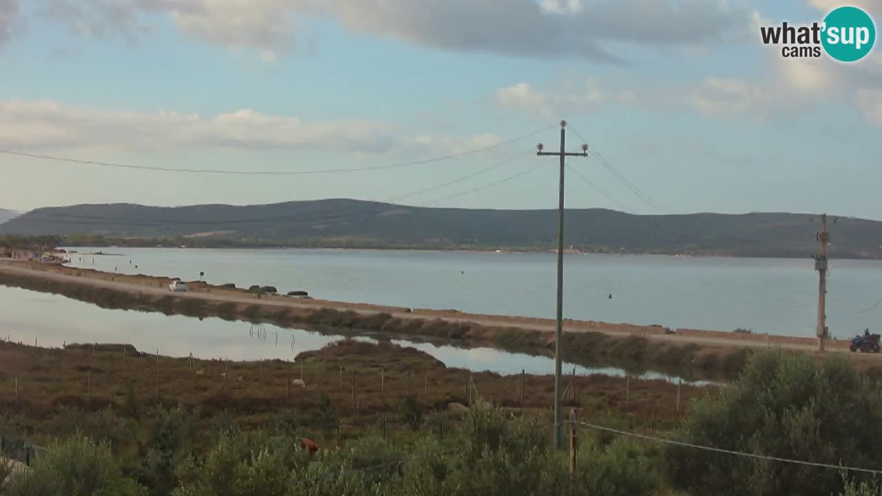 Webcam Porto Botte spiaggia | Sardegna