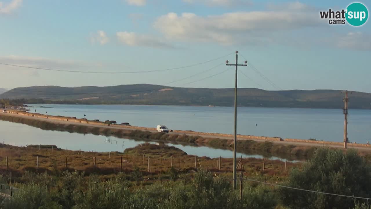 Beach Porto Botte webcam | Sardinia