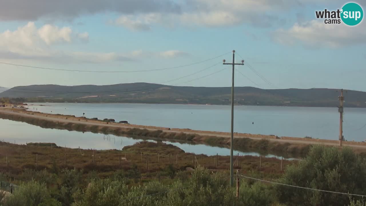 Beach Porto Botte webcam | Sardinia