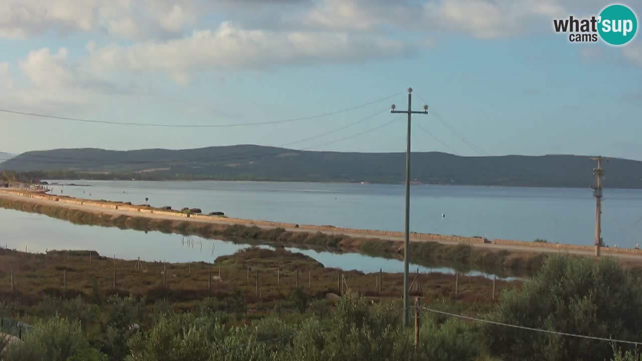 Beach Porto Botte webcam | Sardinia