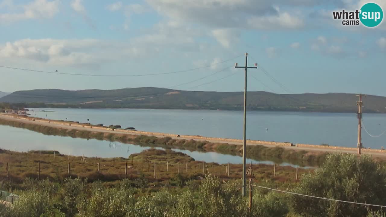 Beach Porto Botte webcam | Sardinia