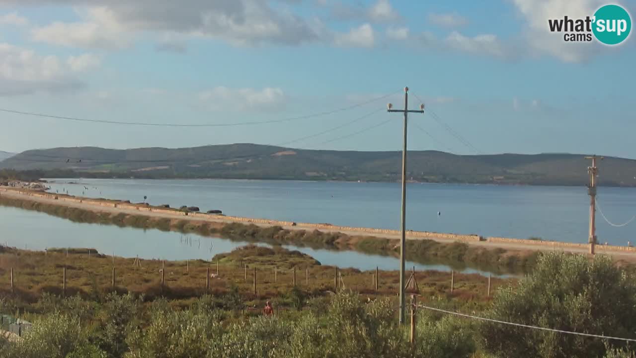 Beach Porto Botte webcam | Sardinia