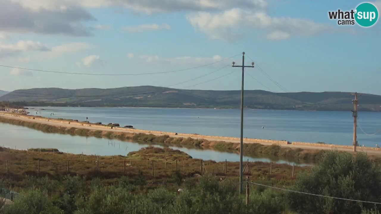 Webcam Porto Botte spiaggia | Sardegna