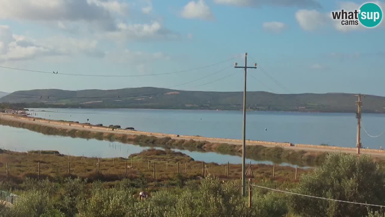 Strand Porto Botte webcam | Sardinien