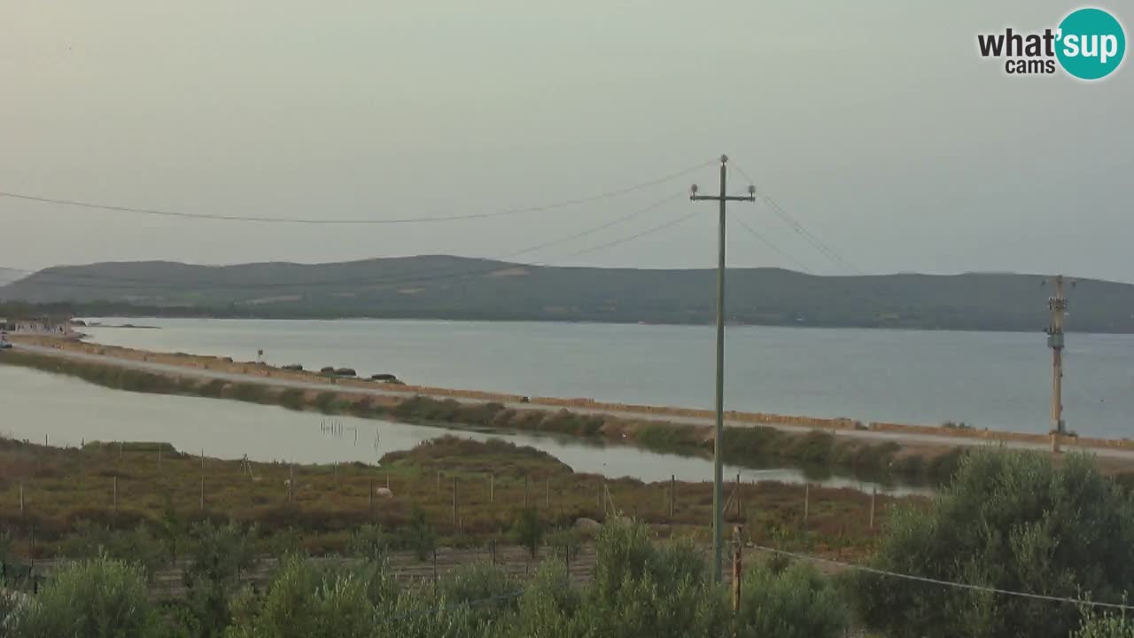 Beach Porto Botte webcam | Sardinia