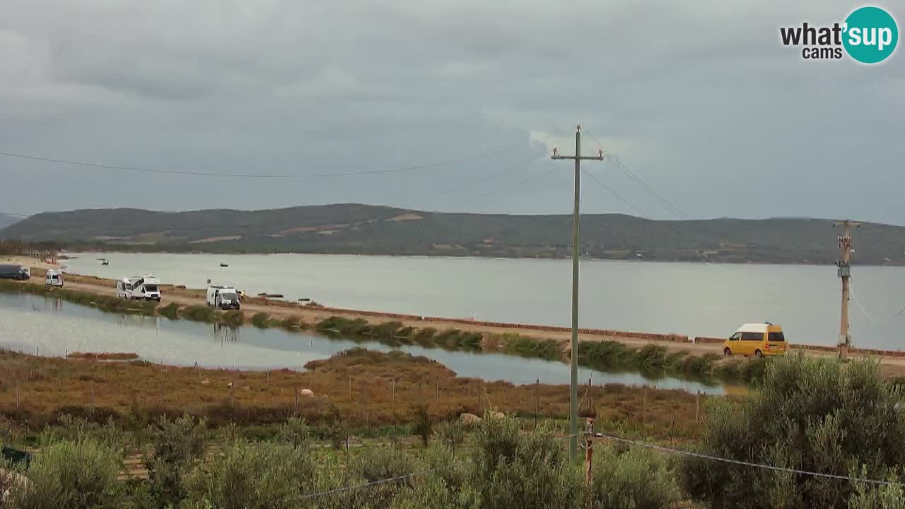 Playa Porto Botte webcam | Cerdena