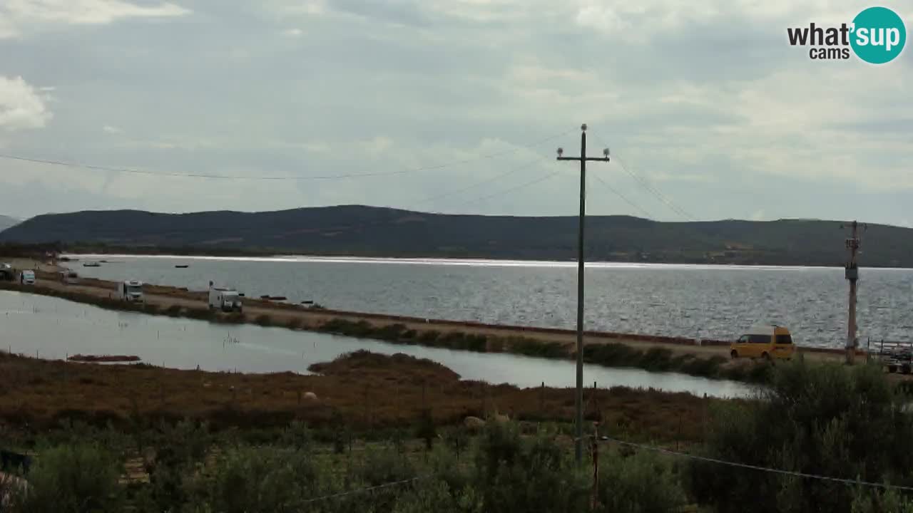 Strand Porto Botte webcam | Sardinien