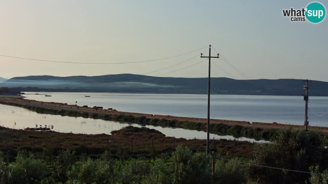 Beach Porto Botte webcam | Sardinia