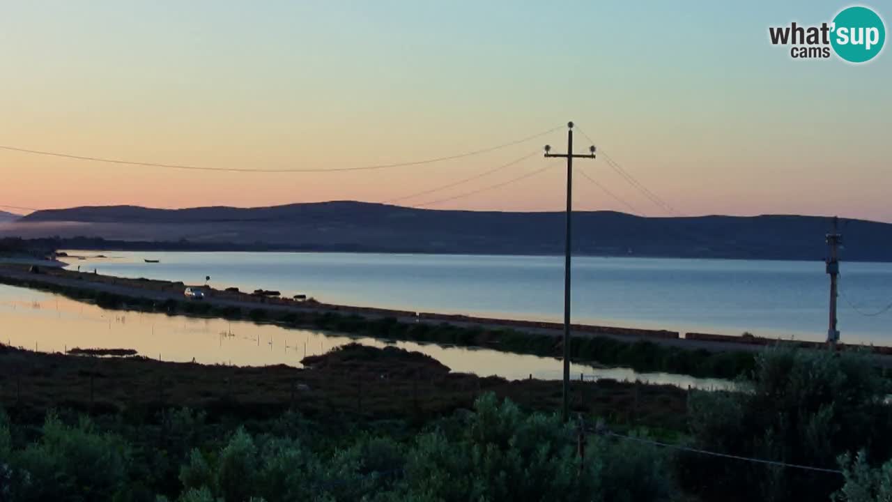 Playa Porto Botte webcam | Cerdena