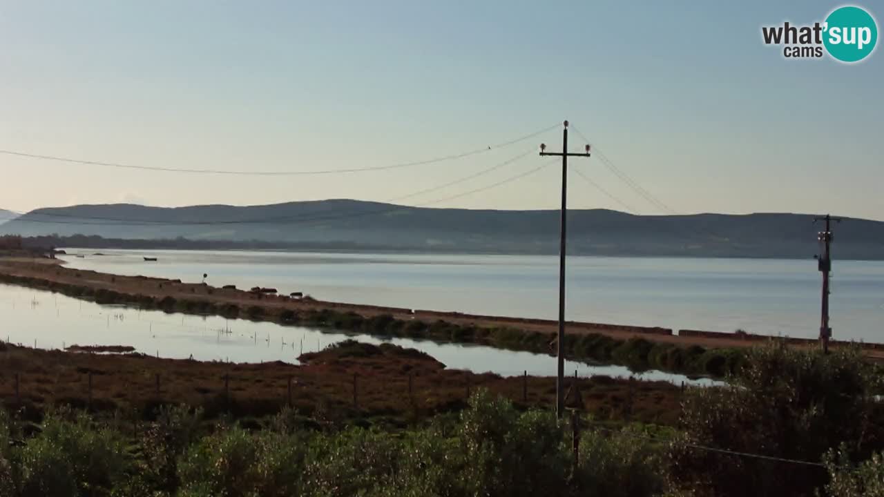 Webcam Porto Botte spiaggia | Sardegna